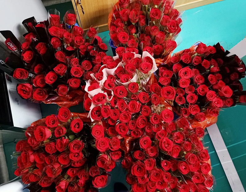 太阳集团女神节